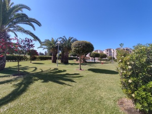 URBANIZACIÓN NUEVO OASIS DEL SUR III - REF. A03-03293