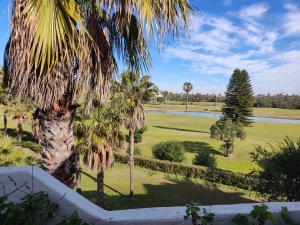 URBANIZACIÓN PLAYA DEL INFANTE - REF. A03-03364