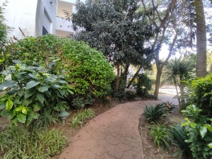 URBANIZACIÓN PLAYA DEL INFANTE - REF. A03-03364