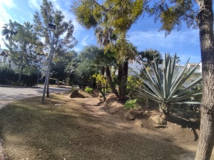 URBANIZACIÓN PLAYA DEL INFANTE - REF. A03-03364