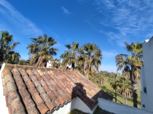URBANIZACIÓN PLAYA DEL INFANTE - REF. A03-03364