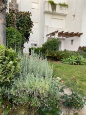 URBANIZACIÓN PLAYA DEL INFANTE - REF. A03-03396