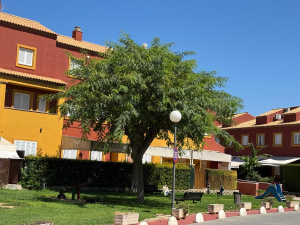 GALIA, ADOSADO - 3 DORMITORIOS - REF. A03-03432