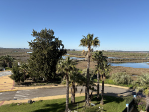 URBANIZACIÓN MARINA III - REF. A01-01210