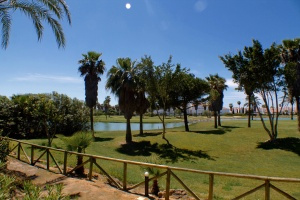 URBANIZACIÓN HOYO 11 - REF. A03-03489