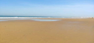 URBANIZACIÓN MARIPOSAS - REF. A06-06457