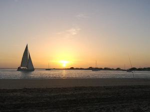 CHALET CON PISCINA A 5 MIN A PIE DE LA PLAYA- REF. A06-06459