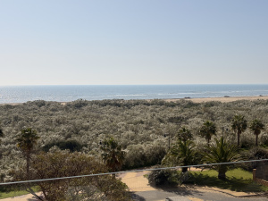 URBANIZACIÓN LAS PALMERAS - REF. A01-01240