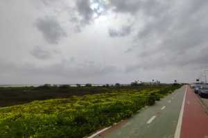 ESTUPENDO PISO CON VISTAS PRIVILEGIADAS  EN CAMPOSOTO- REF. A06-06461