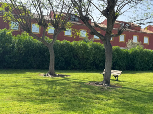 URBANIZACIÓN PLAYA DEL LAR - REF. A03-03528