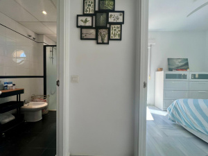 BALLENA PARAISO - REF. A03-03529