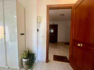 BALLENA PARAISO - REF. A03-03529