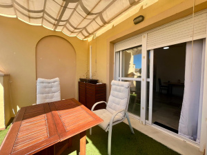 BALLENA PARAISO - REF. A03-03529