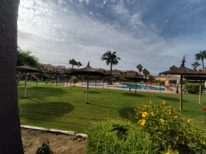 BALLENA PARAISO - REF. A03-03529