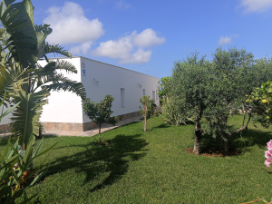 URBANIZACIÓN CASCO URBANO - REF. A06-06478