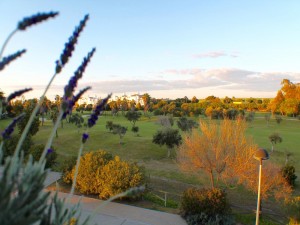 URBANIZACIÓN LA QUINTA ARCE GOLF - REF. A03-00761