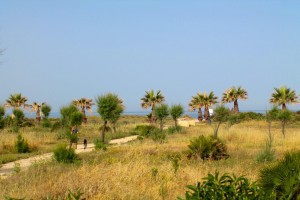 URBANIZACIÓN NUEVO OASIS DEL SUR I - REF. A03-00779